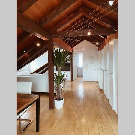 マウルブルク*Dreilaendereck* Wifi+ Balkon+Garage Basel Mulhouseアパートメント エクステリア 写真