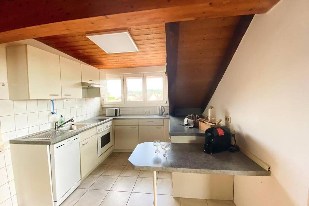 マウルブルク*Dreilaendereck* Wifi+ Balkon+Garage Basel Mulhouseアパートメント エクステリア 写真