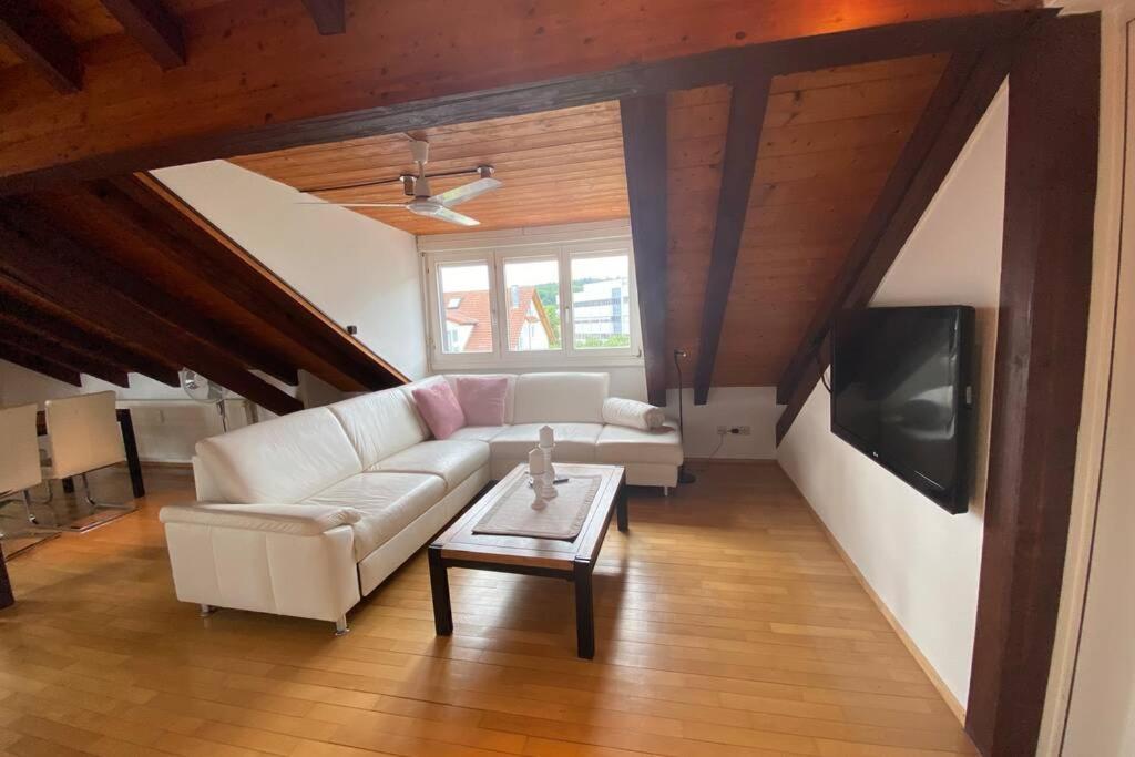 マウルブルク*Dreilaendereck* Wifi+ Balkon+Garage Basel Mulhouseアパートメント エクステリア 写真